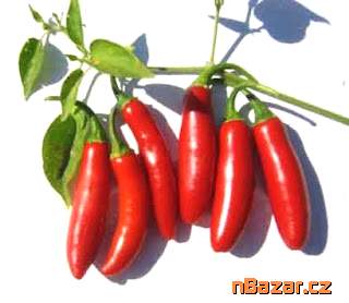Chilli Serrano Tampiqueno 