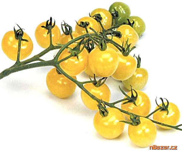 Rajče Snowberry Balení obsahuje 10 semen