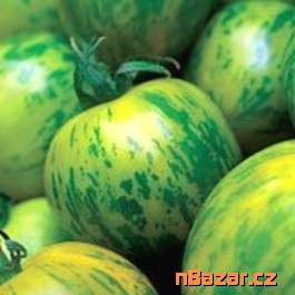 Rajče Green Zebra (Solanum lycopersicum) je střed