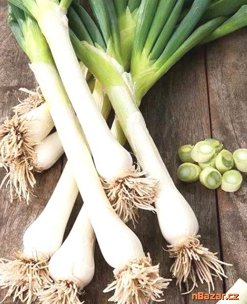 Cibule zimní sedmiletá Kroll Balení obsahuje 500 