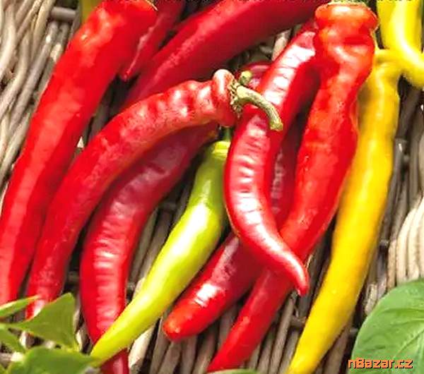 Paprika kozí roh Harriet - semena