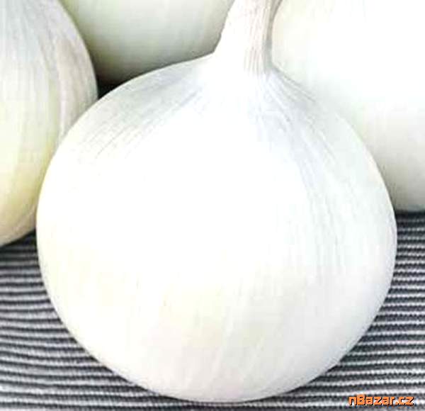 cibule Southport White Globe