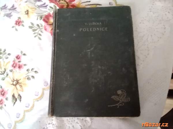 Polednice - román Polednice - román