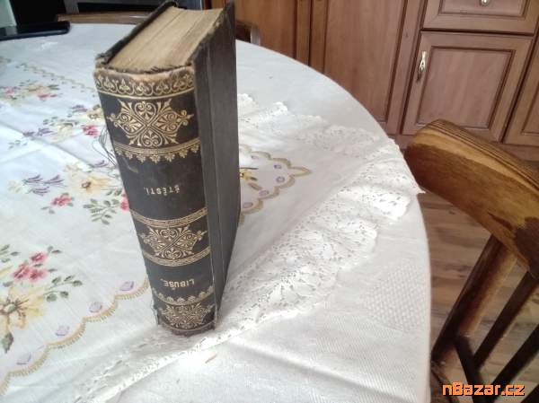 Štěstí I. a II.díl, Upomínky karolíny Světlé