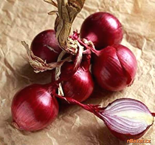 semena cibule Scarlet