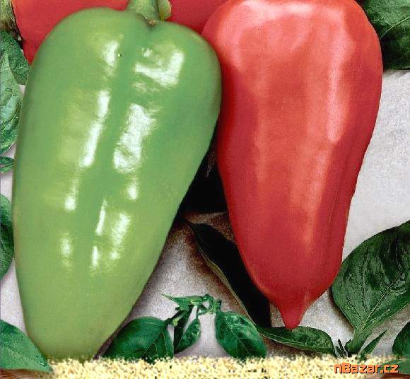 paprika Sandra - semena