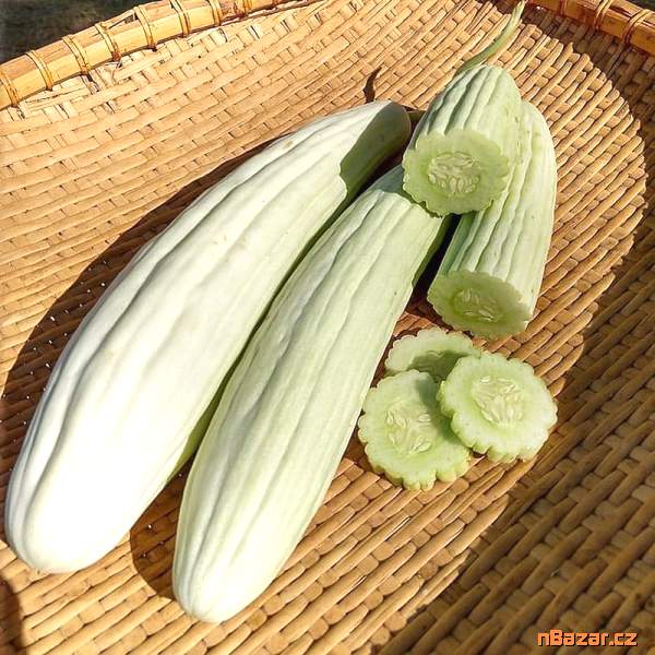 semena okurka Tortarello Bianco Abruzzese