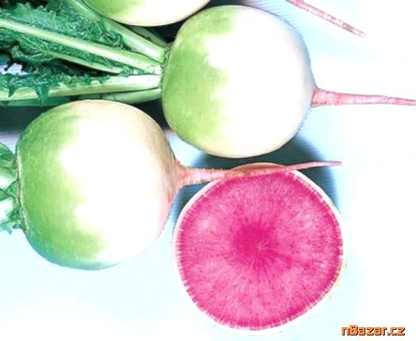 semena ředkev Red Meat semena ředkev Red Meat