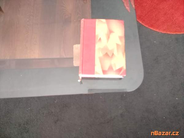 Stará milenka - román Stará milenka - román