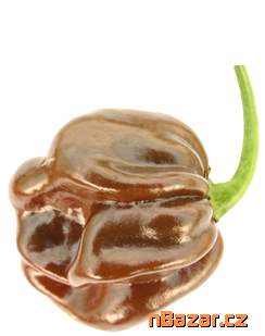 Chilli Habanero Chocolate
