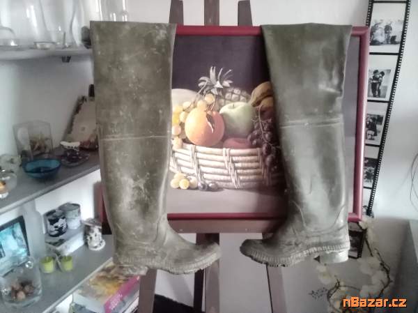 Starší, vysoké, rybářské holiny