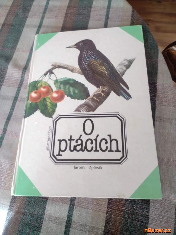 O ptácích - pro děti