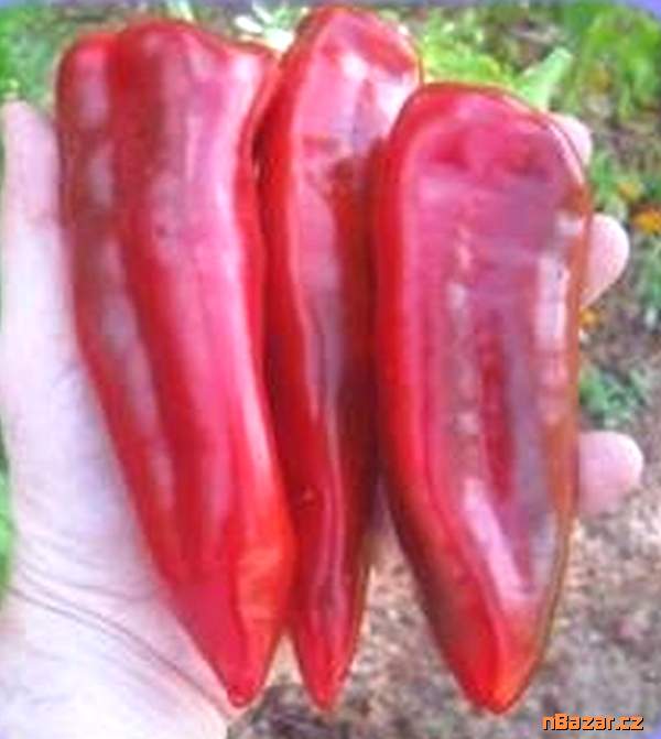semena papriky Marconi Rosso