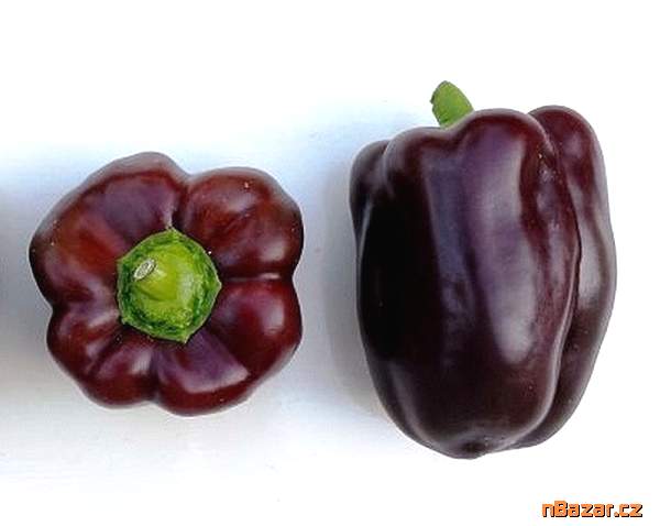 semena papriky Chocolate beauty
