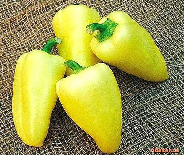 Paprika Citrina - semena