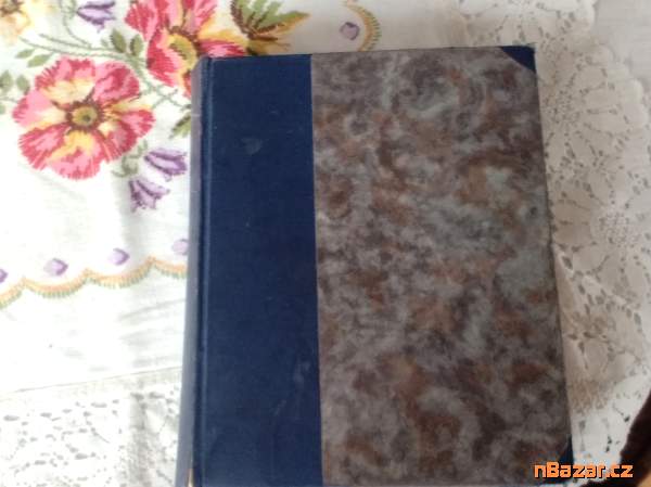 Jos.Kaj.Tyl-obraz životopisný, Liter. a divad.roz