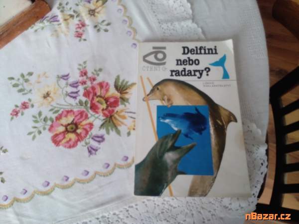 Delfíni nebo radary?
