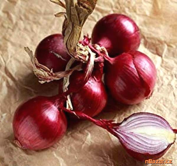 Cibule Scarlet - semena