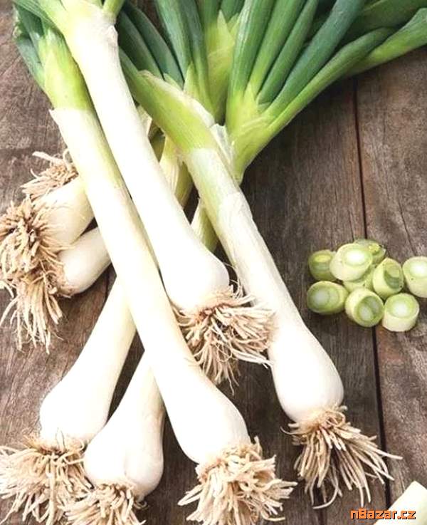 Cibule Kroll - semena