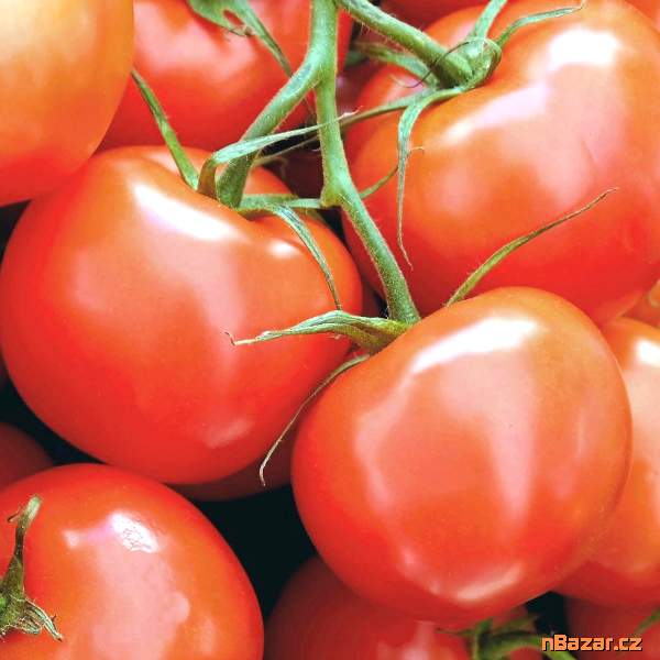 Rajče Pedro F1 - semena