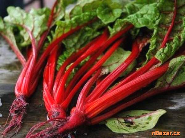 Mangold Rhubarb chard - semena