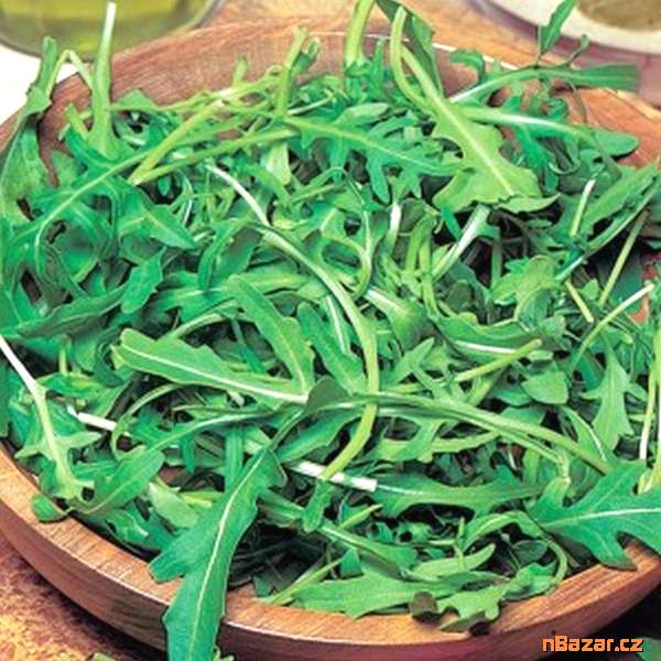 Roketa rukola setá Wild Rocket - semena
