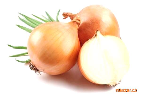 Cibule Augusta - semena