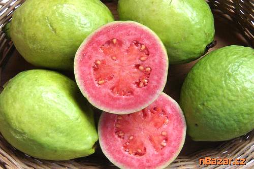 Psidium guajava