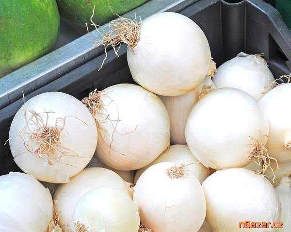 Cibule Avalon - semena