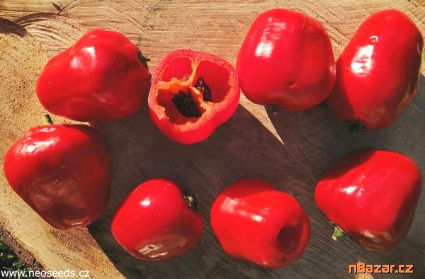 Sazenice Chilli Mini Rocoto Red