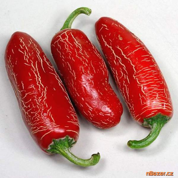 Sazenice Chilli Numex Vaquero Jalapeňo