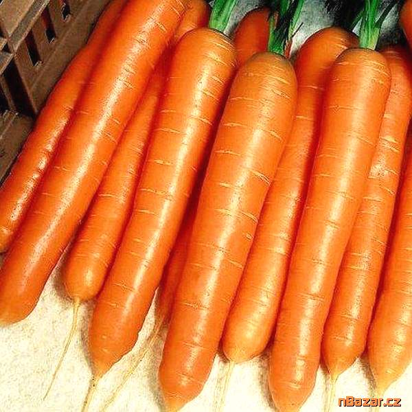 Mrkev Favorit - semena