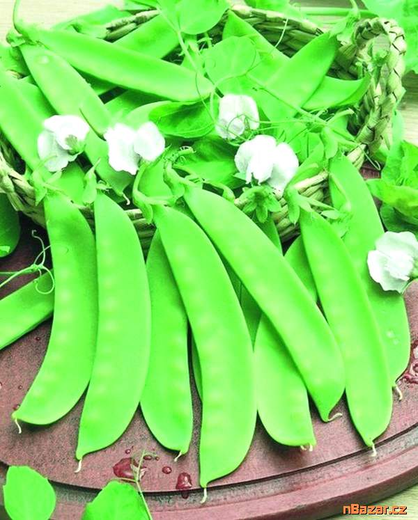 Hrách cukrový Ambrosia - semena Hrách cukrový Ambrosia - semena