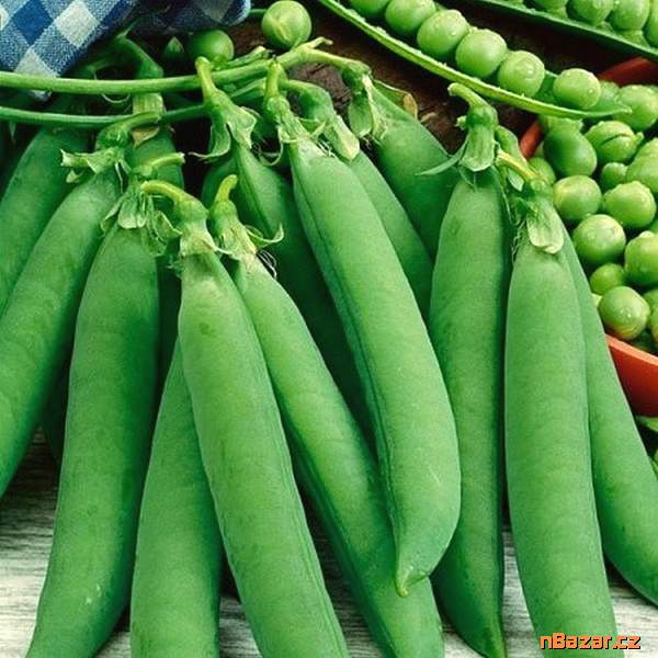 Hrách dřeňový Oskar - semena