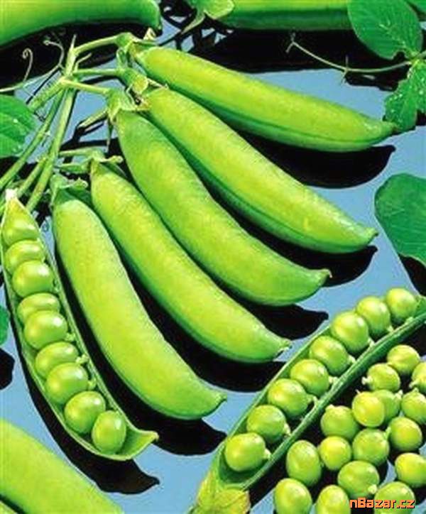 Hrách dřeňový Zázrak z Kelvedonu - semena