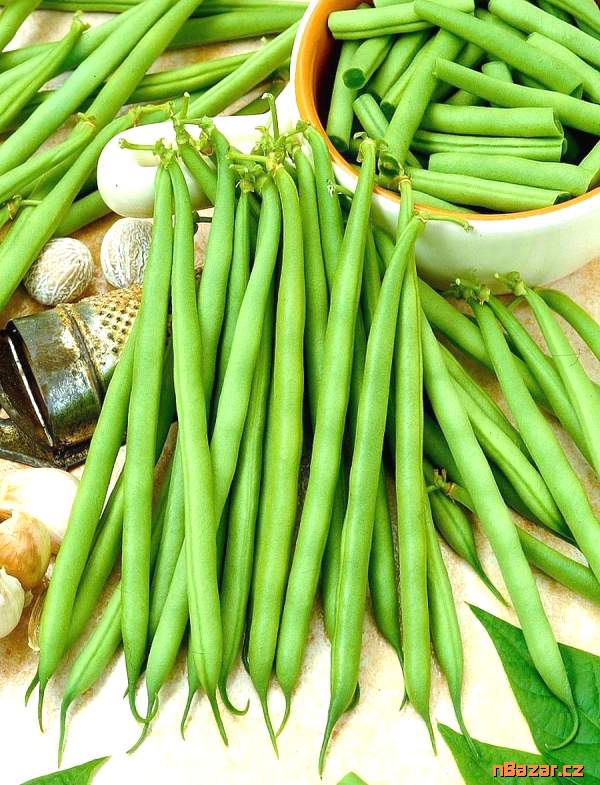Fazol keříčkový Delfina na lusky - semena