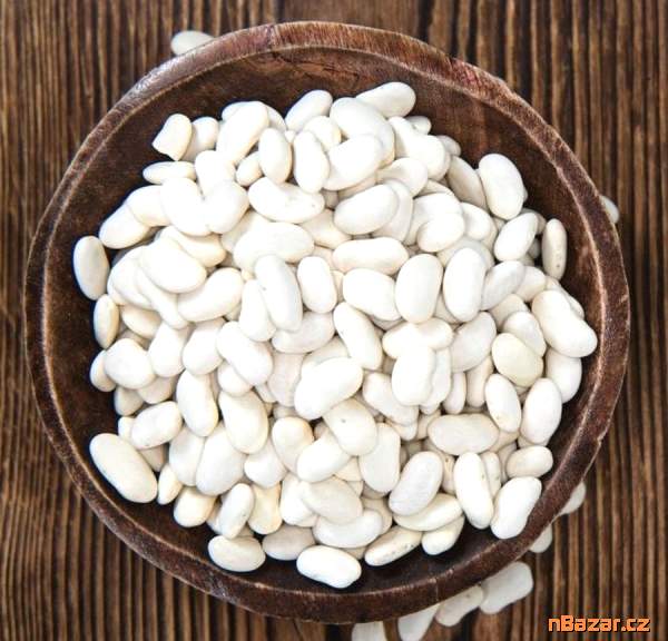 Fazol keříčkový Kontra na suchá semena - semena