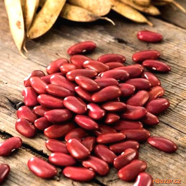 Fazol keříčkový Wawelska na suchá semena - semena