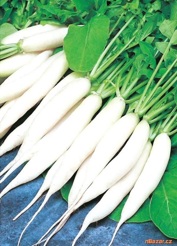 Ředkvička Rampouch - semena