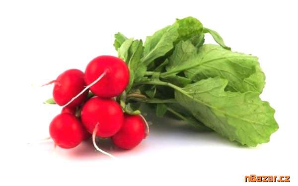 Ředkvička Saxa 2 - semena