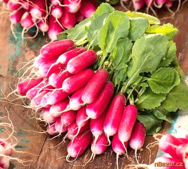 Ředkvička Slovana - semena