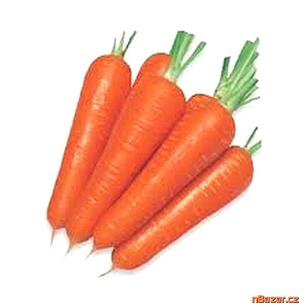 Mrkev Chamaré - semena
