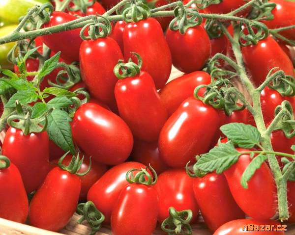 Rajče Valdo - semena Rajče Valdo - semena