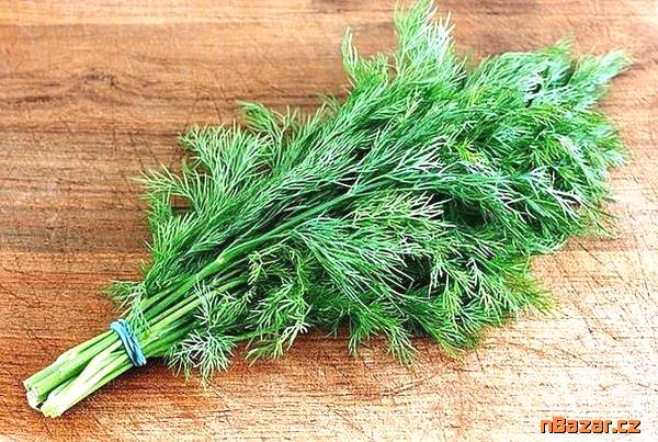 Kopr vonný Lukullus - semena Kopr vonný Lukullus - semena