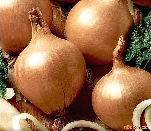 Cibule Všetana - semena Cibule Všetana - semena