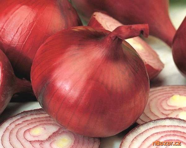 Cibule Wenta - semena Cibule Wenta - semena