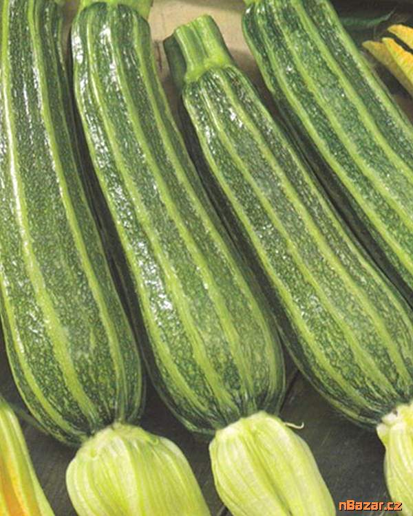 Cuketa Striato di Napoli - semena Cuketa Striato di Napoli - semena