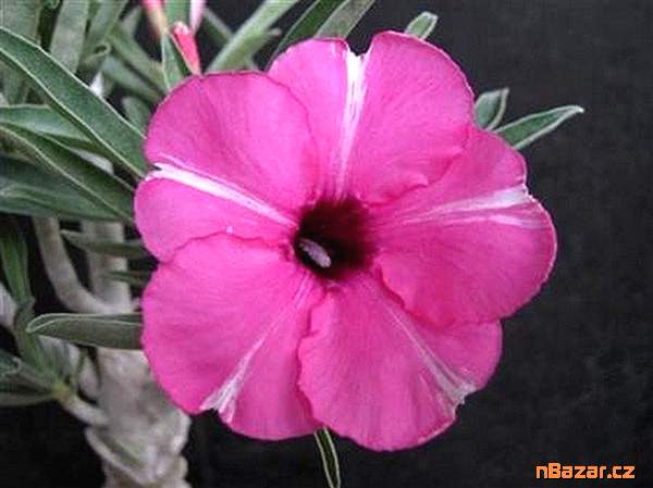 Rychlá a spolehlivá nabídka financování Rychlá a spolehlivá nabídka financování