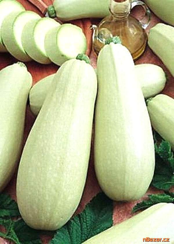 Cuketa Bětka F1 - semena