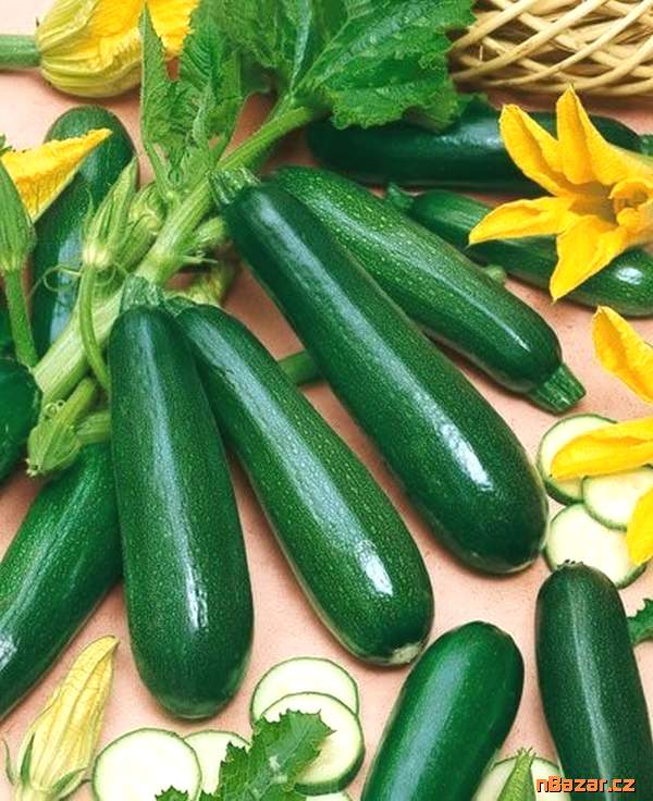 Cuketa Black Beauty - semena Cuketa Black Beauty - semena